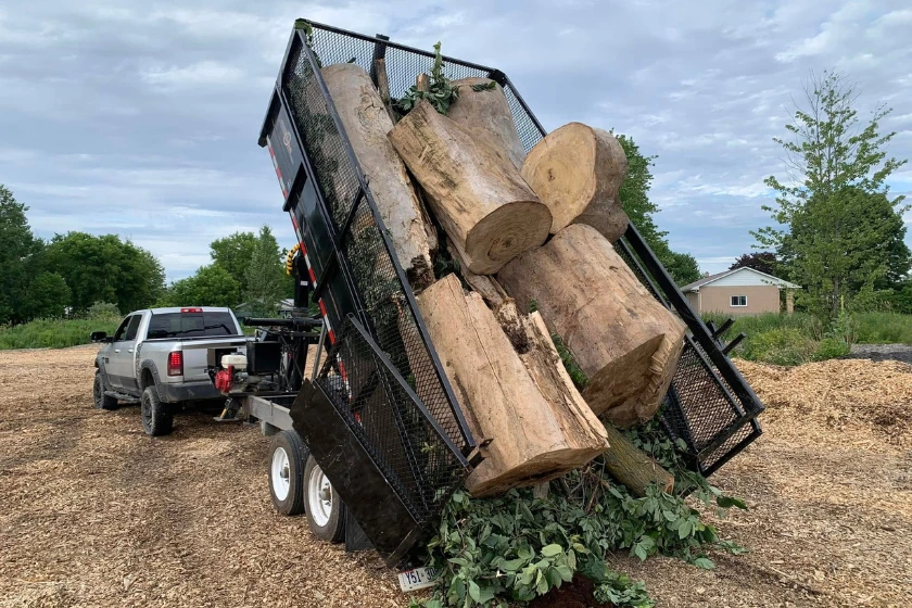 Tree Removal Services